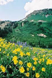 Albion Basin