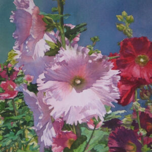 Hollyhocks by Becky Hartvigsen