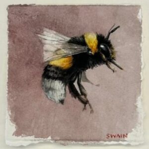 Tyler Swain One Day Workshop "Painting Simply" CVC